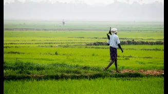 Protecting Crops from Heatwaves in India