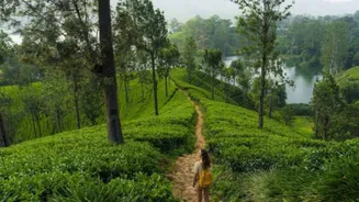 How to plan a sustainable vacation like a pro