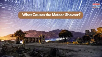 Did You Know What Causes the Geminid Meteor Shower? Take the Quiz