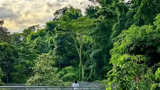 Rainforest Holidays Are Inspiring More Mindful Travel