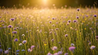 Taurus Today: Embrace Synchronicities & Navigate Your Day!