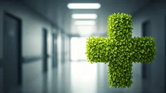 Vijay's Political Ambitions: A Look Ahead