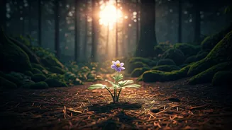 Unlock Your Inner Strength: Alice Walker's Wisdom on Self-Empowerment