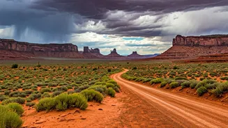 Why Monsoon Rain Season Makes Nature Travel Incredibly Cheap Now
