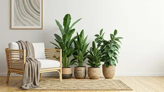 Chic Harmony: Mastering Minimalist-Bohemian Decor for Your Home