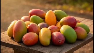 Beyond a seasonal tasting event, Mango Festivals highlight rare-fruit conservation and Indian summer culture