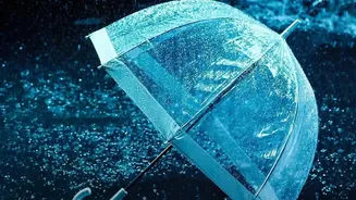 Rainy-Season Travel: The Insurance Details Worth Checking