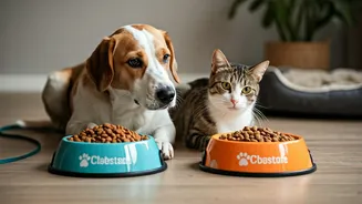 Pets Need Smarter Diets When Walks Drop