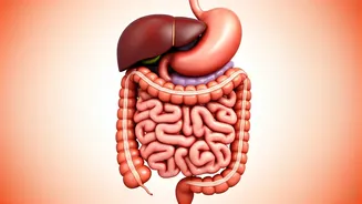 Understanding Weight Loss: From Illness to Lifestyle