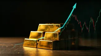 Market Insights: Key Triggers and Investment Ideas