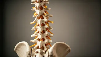 Banish Backache: Doctor-Approved Exercises & Daily Habits for Lasting Relief