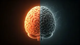 The Brain on Complaining: How Constant Negativity Rewires Your Mind