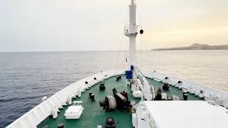 Cruise Industry Maintains Popularity Amid Health Concerns