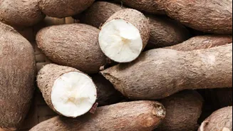 Arrowroot or tapioca: Which is better for gluten-free baking?