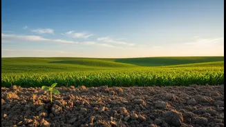 Indian Agriculture Needs More Soil Literacy
