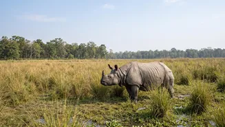 Dudhwa's Rhino Recovery Strengthens Conservation Beyond Traditional Strongholds