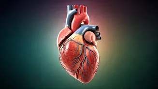 Longevity Secrets: Simple Habits for a Long, Healthy Life