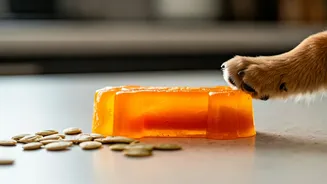 Conscientious Pet Owners Make Frozen Pumpkin Puree Toys For Puppies