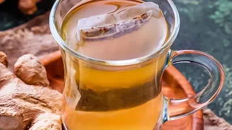 How Traditional Spiced Herbal Brews Support Daily Gut Wellness Across Coastal And Inland South India