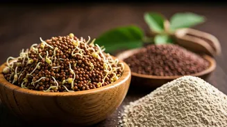 Replace Processed Protein Bars With Sprouted Ragi Flour Mixes