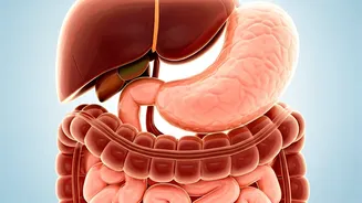 Six Yoga Poses for Stellar Digestion: Your Gut's Guide