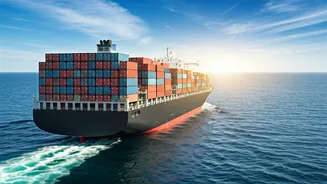 The Environmental Toll of Imported Food: A Consumer Misunderstanding