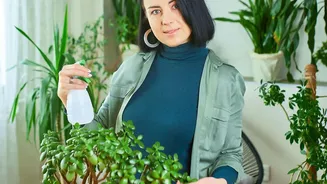 Microbial Soil Moisture Sensors Protect Balcony Plants From Destructive Overwatering Problems