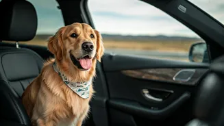 Pet-First Travel Is The New Family Flex