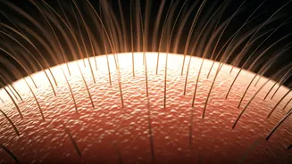 India’s Hair Routines Need More Scalp Sense