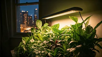 Grow Lights Make Apartment Gardening Less Hopeless