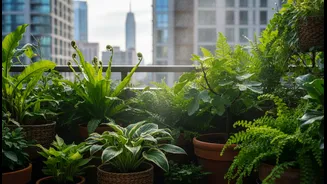 Urban Garden Trends Focus On Cooler Outdoor Spaces