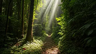 Pilibhit Tiger Reserve's New Safari Route Faces Legal Hurdles