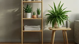 Eco-Chic Homes: Budget-Friendly Tips for a Greener Living Space