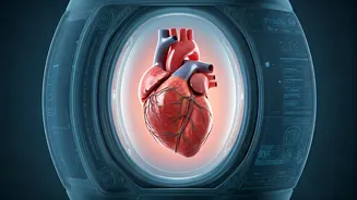 Heart Health: 5 Truths From a Cardiologist