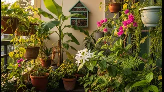 Balcony Biodiversity Starts With Plant Choice, Not Decorative Insect Hotels
