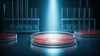 Meghalaya on Alert: Public Health Advisory Issued After Suspected Meningococcal Cases