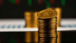 Kotak Mahindra Bank: Recent Financial Performance Insights