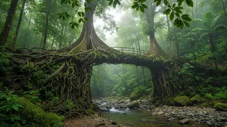 Monsoon Adventures Across Northeast India Blend Wildlife And Nature