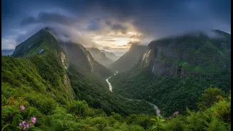 Plan Western Ghats Travel Around Weather Windows, Not Packed Sightseeing Lists