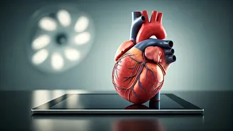 Digital Life & Heart Health: Staying Safe