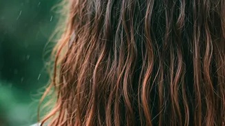 Frizz Season Is Officially Back In India