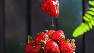 From Imported Plants to Indigenous Varieties: India's Strawberry Plan Explained