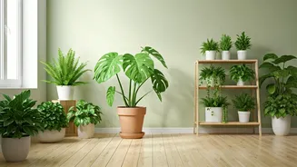 Beat the Heat: 6 Indian Plants to Naturally Cool Your Home This Summer