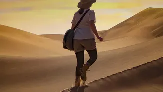 Purpose-Free Travel: What Is Known So Far