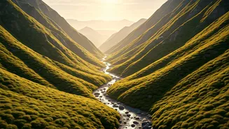 Responsible Trekking Has Entered Valley Travel