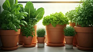 Turn Your Balcony Into An Edible Kitchen Farm Effortlessly Now