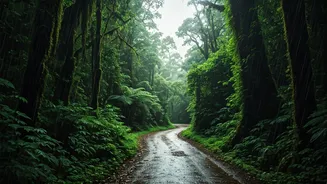 Rains Are Making Kerala Travel Extra Dramatic