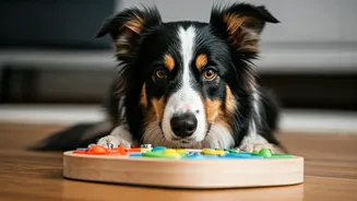 Top 8 Brainiest Canine Companions: Discover Which Breed Reigns Supreme!