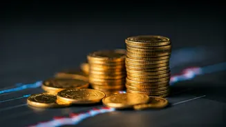 Retail Investors Rethink Strategies Before Budget 2026