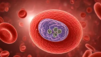 Malaria Alert: When Fever Isn't Just Viral & Early Detection Saves Lives